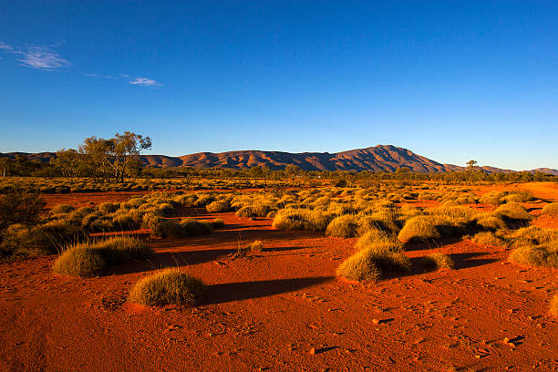 The Northern Territory